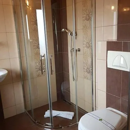 Pensiune Pensiunea Diadis Cluj-Napoca