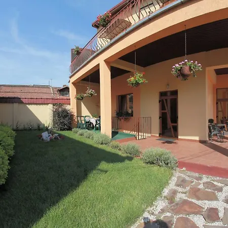 Гостьовий будинок Pensiunea Diadis 3*