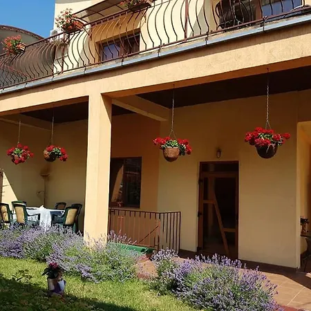 Πανσιόν Pensiunea Diadis Κλουζ-Ναπόκα