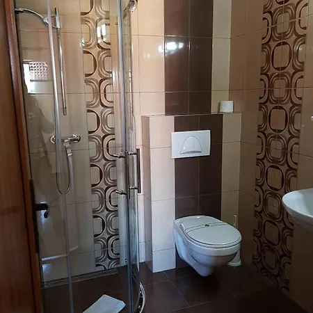 Pensiune Pensiunea Diadis 3*