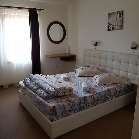 Πανσιόν Pensiunea Diadis Κλουζ-Ναπόκα