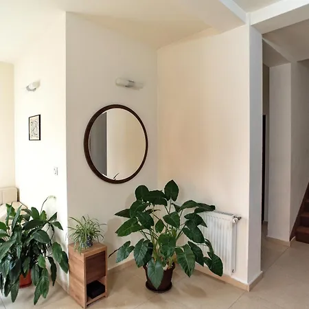 Pensión Pensiunea Diadis Cluj-Napoca