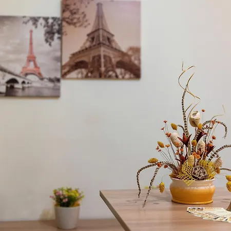 Pensiunea Diadis Guest house Cluj-Napoca