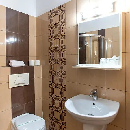 Pensiunea Diadis Guest house