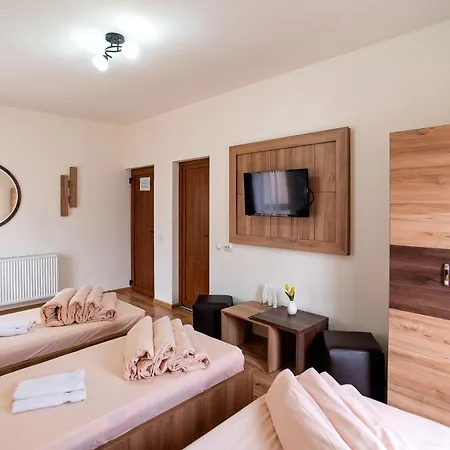 Pensiunea Diadis 3*