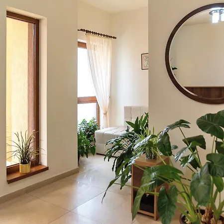 Πανσιόν Pensiunea Diadis Κλουζ-Ναπόκα