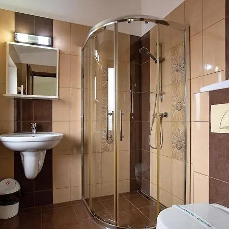 Pensiunea Diadis 3*