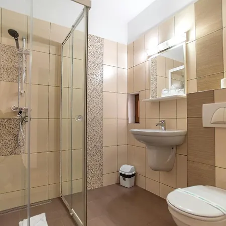 Pensiunea Diadis Cluj-Napoca