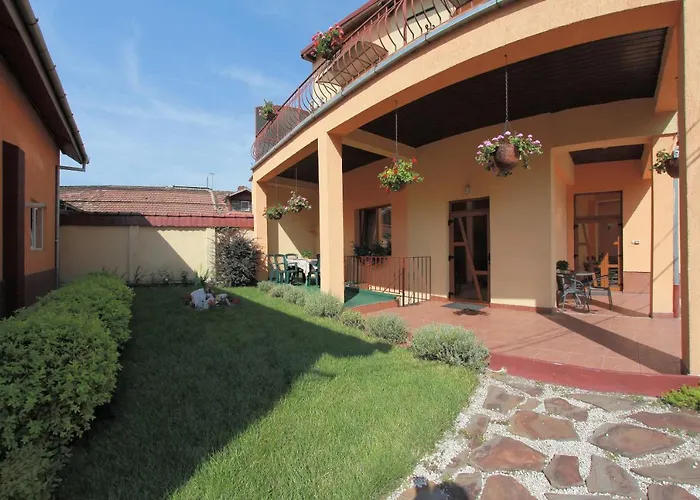 Гостьовий будинок Pensiunea Diadis 3*