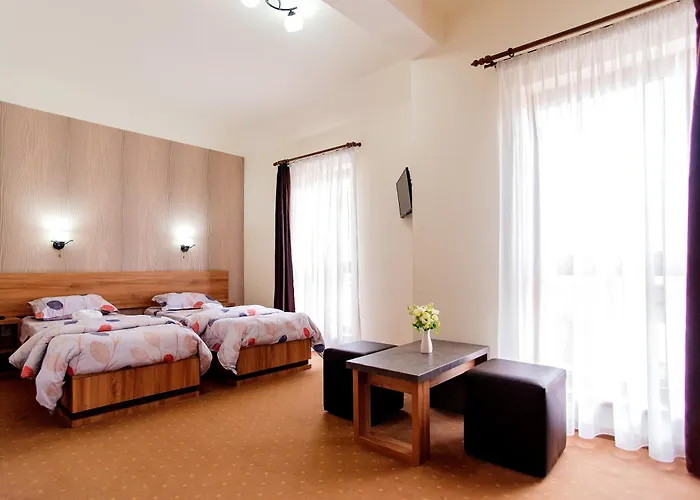 Pensiunea Diadis Guest house