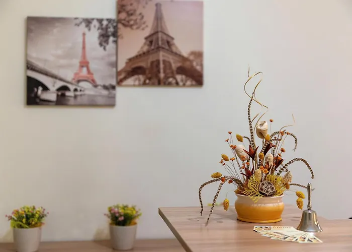 Pensiunea Diadis Guest house Cluj-Napoca