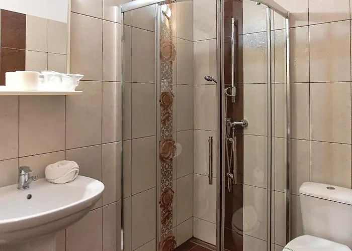 Guest house Pensiunea Diadis