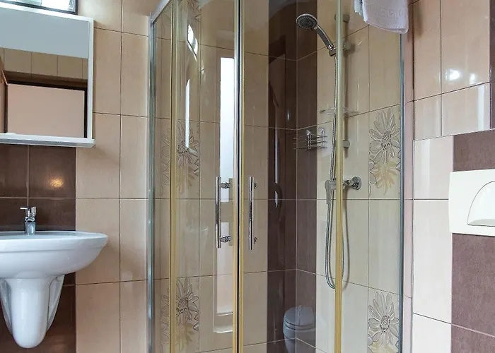 Guest house Pensiunea Diadis Cluj-Napoca