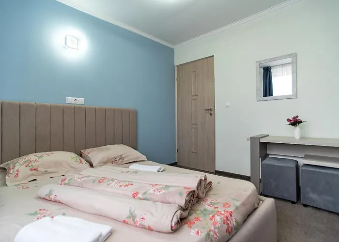 Pensiunea Diadis 3* Cluj-Napoca