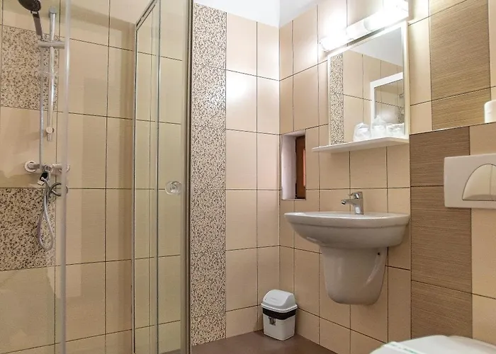 Pensiunea Diadis Cluj-Napoca